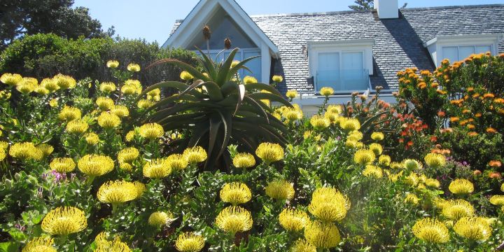 Old Harbour Museum