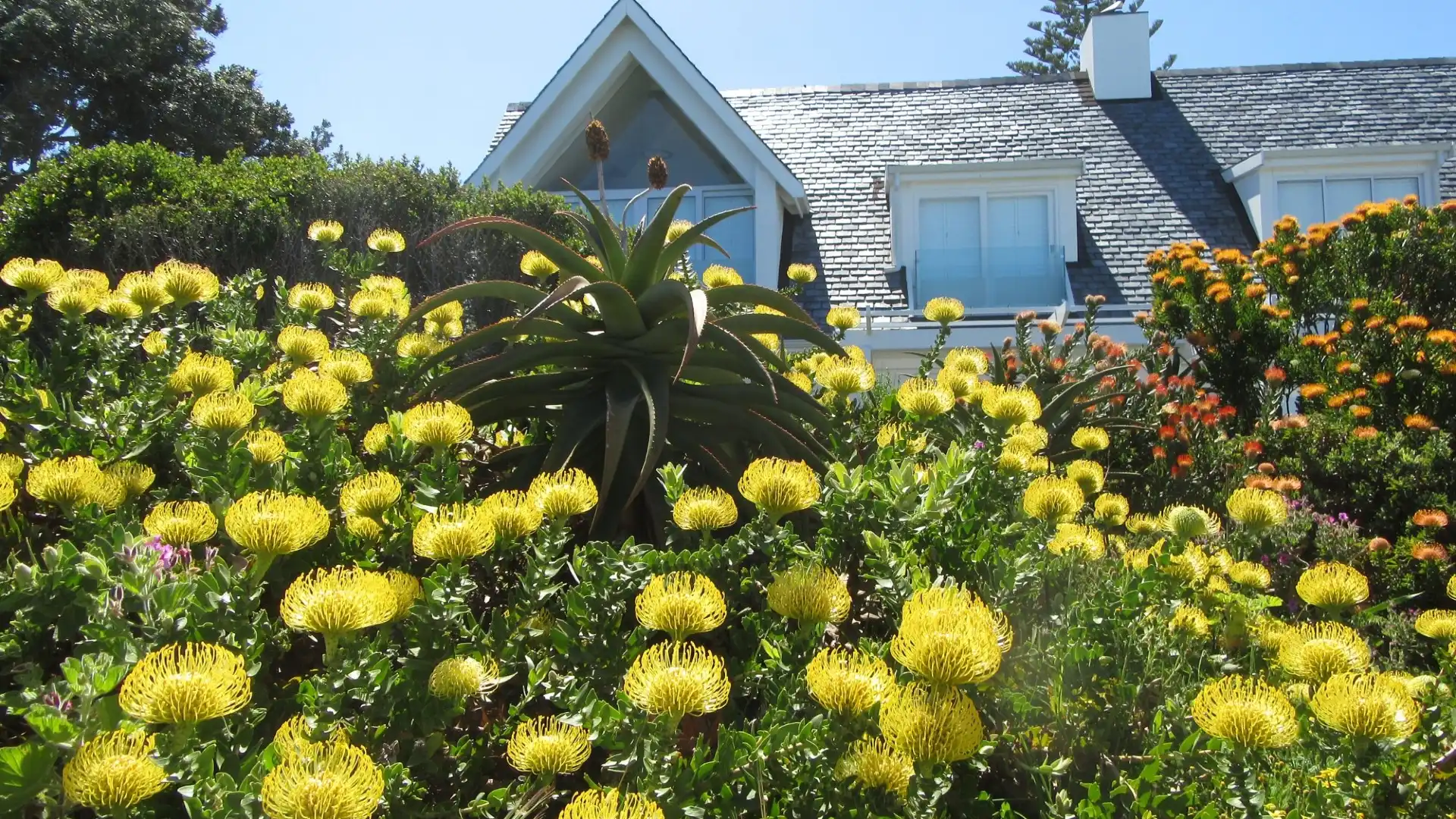Hotels near Old Harbour Museum