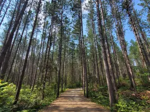 Algonquin Logging Museum