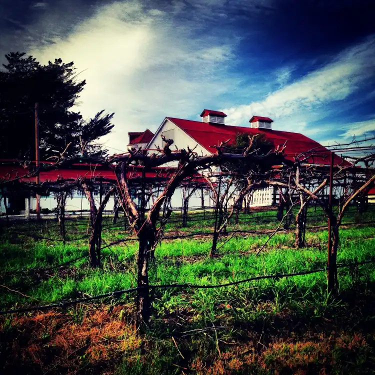 Hotels in Penngrove