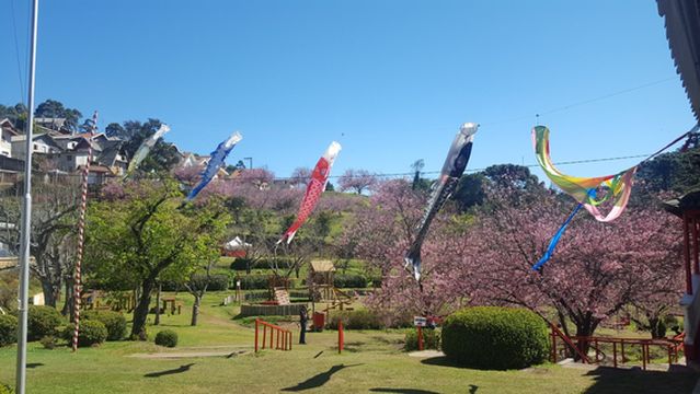 Parque das Cerejeira