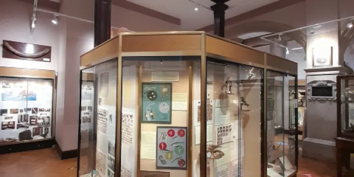 Eton College Natural History Museum