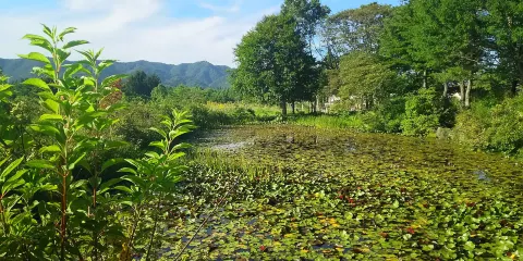 Hiruganoshitsugen Botanical Garden