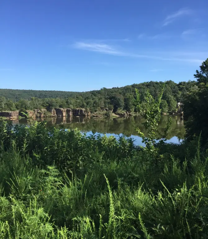 Starr Hill Township