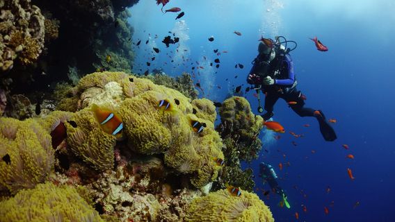 Daedalus Reef Lighthouse
