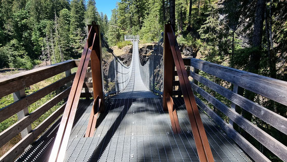 Elk Falls Suspension Bridge