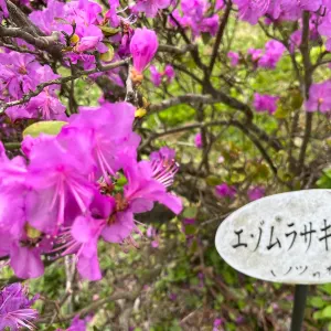 松前藩戸切地陣屋跡