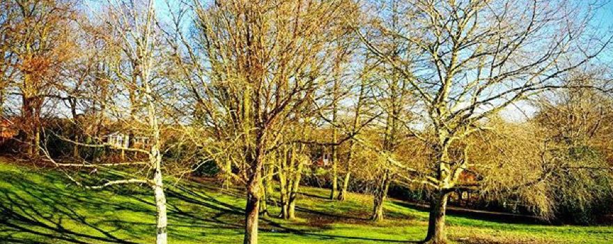 Sandbach