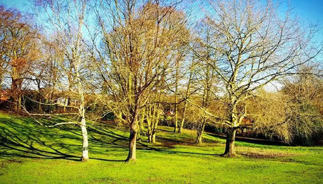 Hotels near Sandbach Park