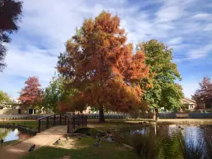 Cook Park
