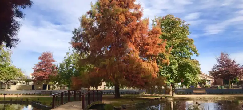 鄰近Orange Station的酒店