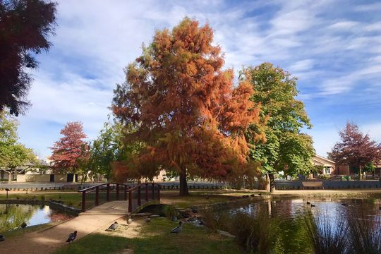 Cook Park