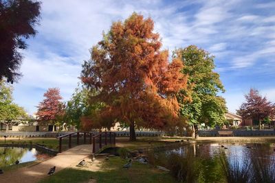 Cook Park