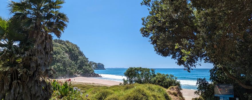 Whiritoa Beach Road