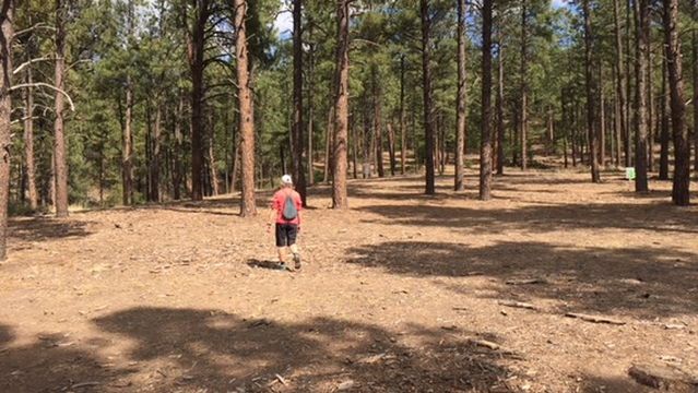 Reservoir Hills Disc Golf Course