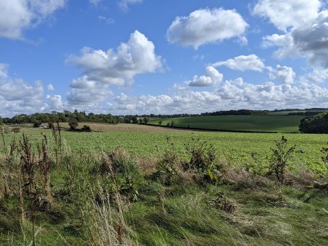 Chesterton Windmill