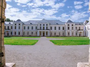 Vyshnivets Palace