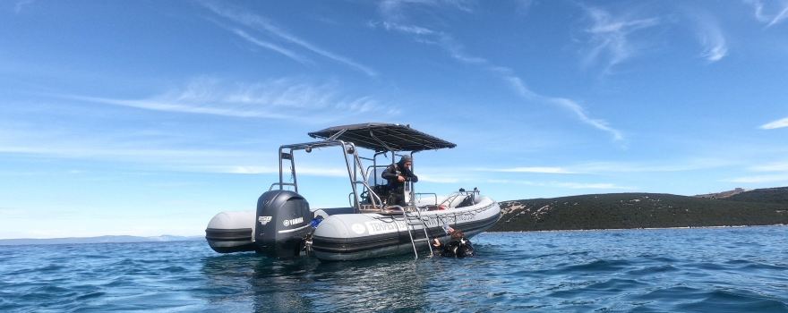 KRON DIVING