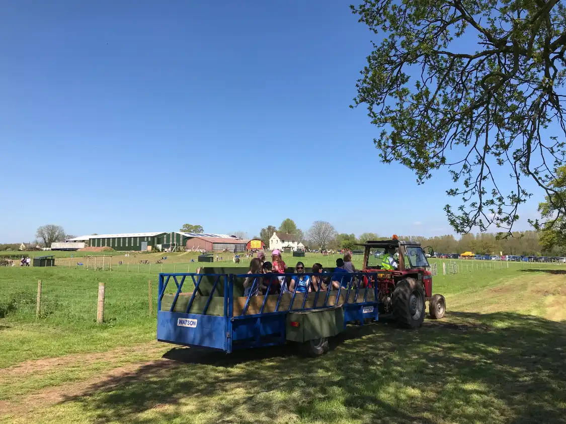 Hotels near Raglan Farm Park