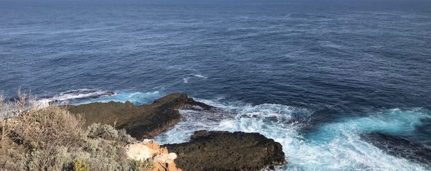 Cape Nelson State Park
