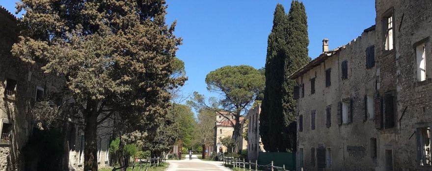 Pocenia