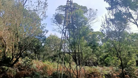 Peninsula Gardens Bushland Reserve