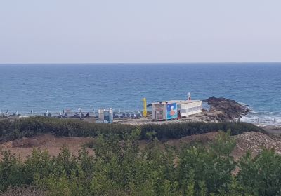Maroni