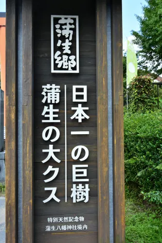 Aira