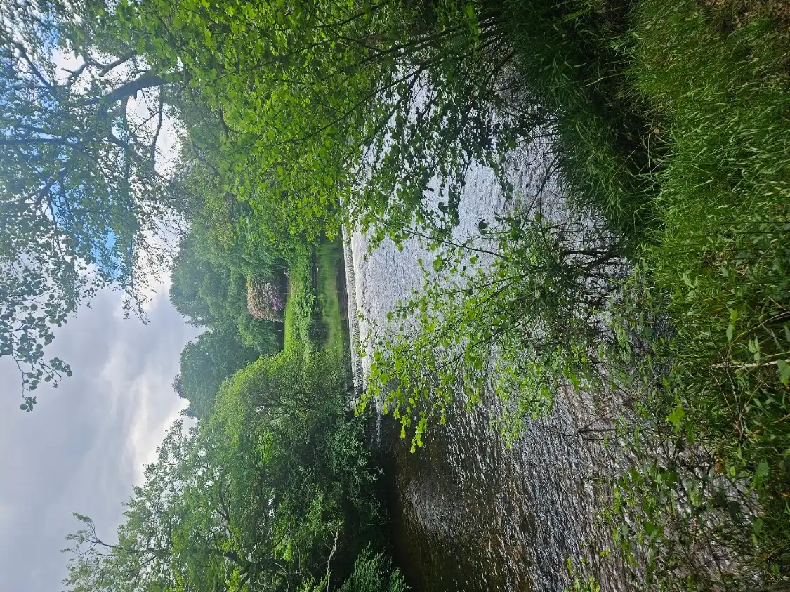 네스 아일랜즈 주변 호텔