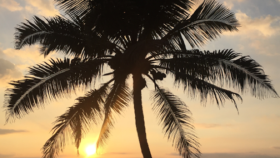 SPIRITUAL YOGA VARKALA Yoga Drop In Classes & Yoga Healing Meditation