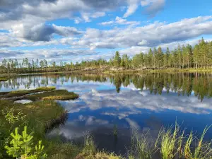 Naturum Fulufjället