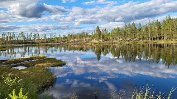 Naturum Fulufjället
