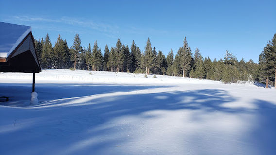 Shady Rest Park