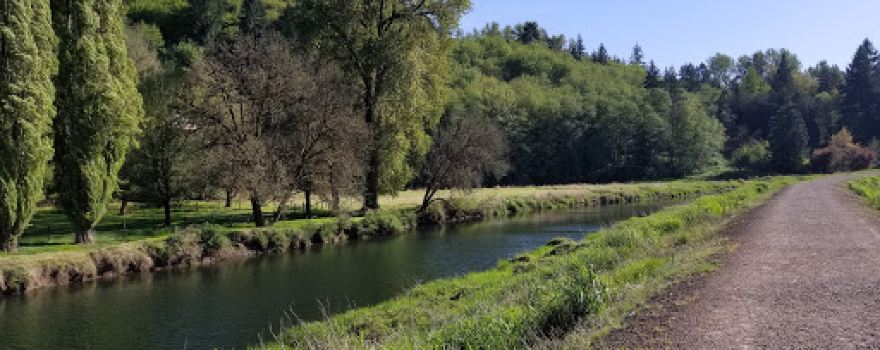 Tam O'Shanter Park
