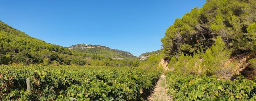 Pelags de Foix