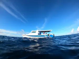 Thoddoo Astro Dive Club And Excursions