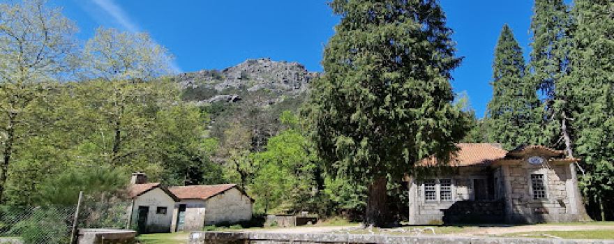 Mata de Albergaria (Gerês)