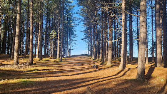 Forres