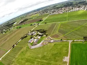 Skydive the Vines McLaren Vale