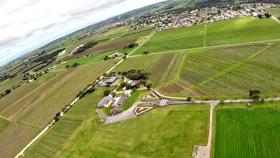 Skydive the Vines