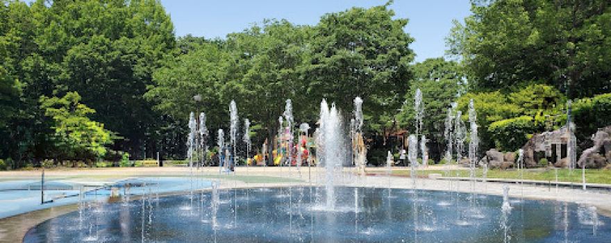 Tomi Central Park
