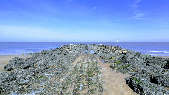 Knokke-Strand Beach Bar