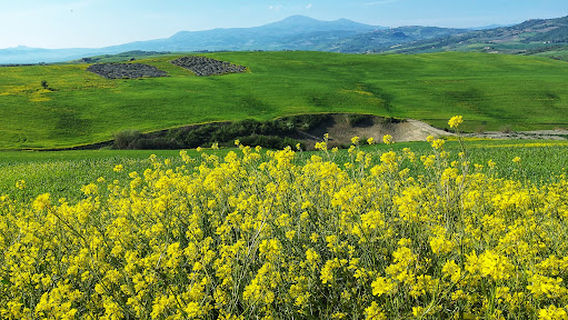 San Quirico d'Orcia