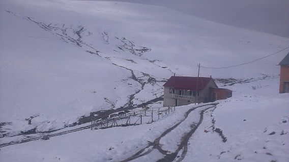 Trebisonda
