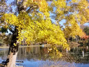 Jackson Lake State Park
