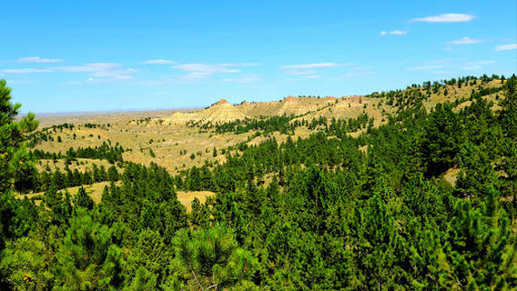 Strawberry Hill Recreation Area