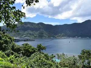 Blunts Point Battery