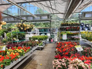 Dehner Garten-Center