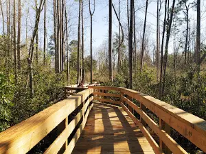 McMillan Park