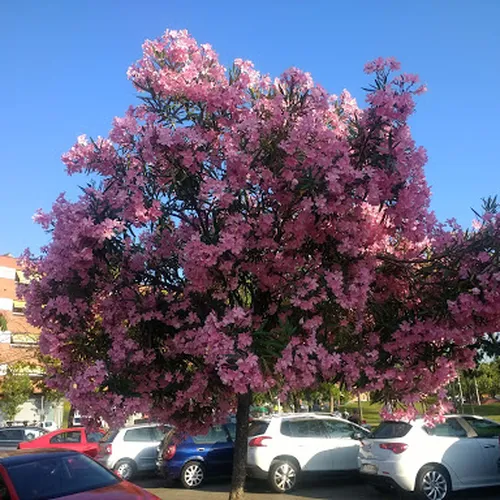 Parc de la Solidaritat
